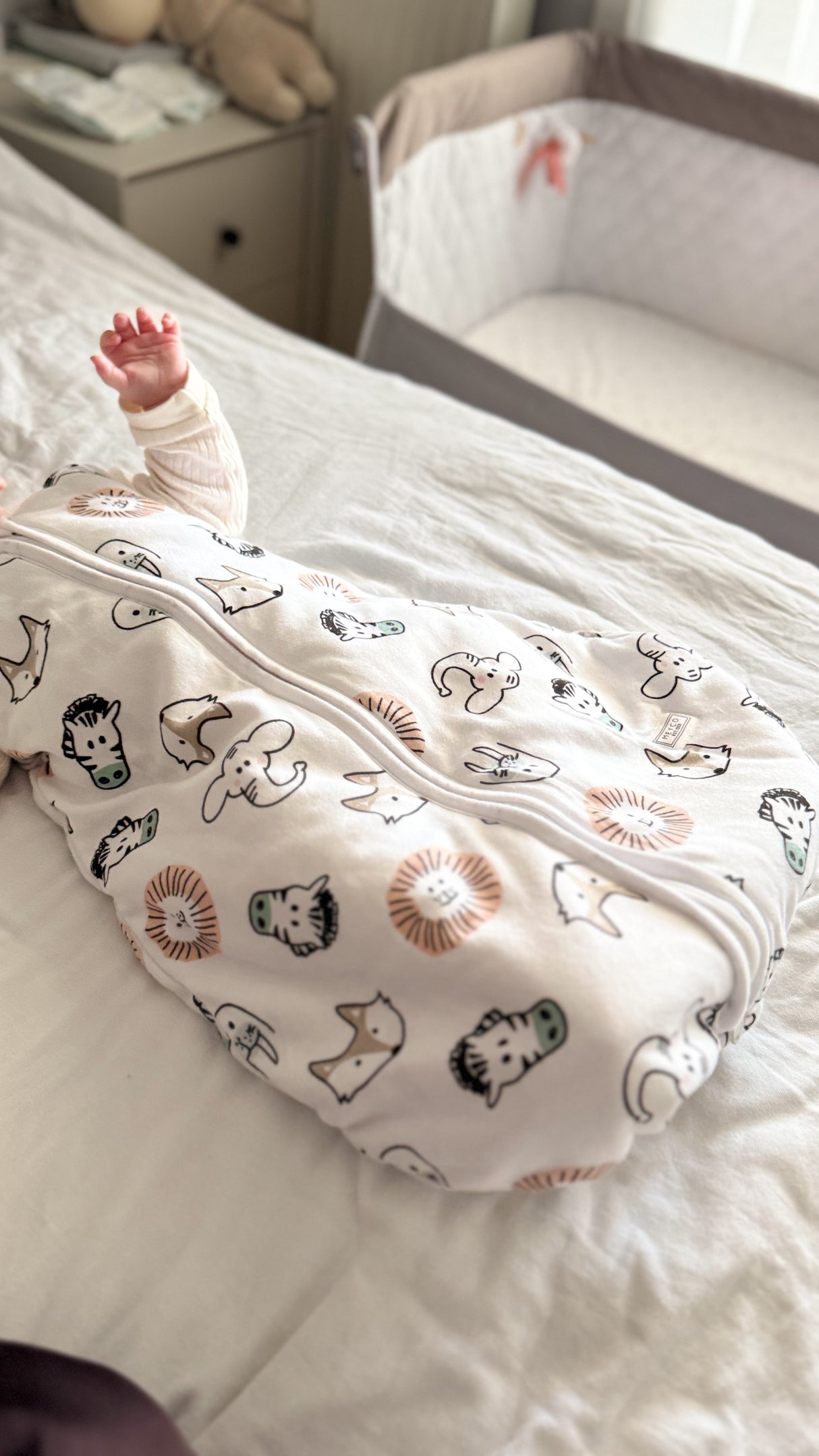 Meyco Υπνόσακος Animal multicolour (0-2,5 ετών)