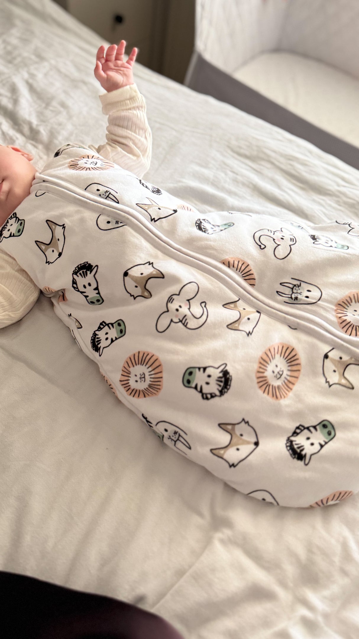 Meyco Υπνόσακος Animal multicolour (0-2,5 ετών)