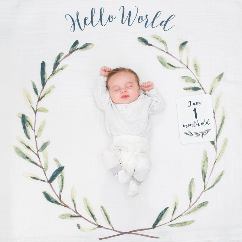 Mουσελίνα Φωτογράφισης + Κάρτες- Hello World