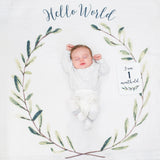 Mουσελίνα Φωτογράφισης + Κάρτες- Hello World