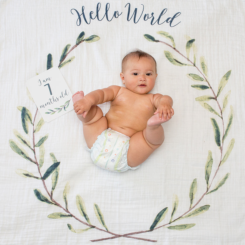 Mουσελίνα Φωτογράφισης + Κάρτες- Hello World