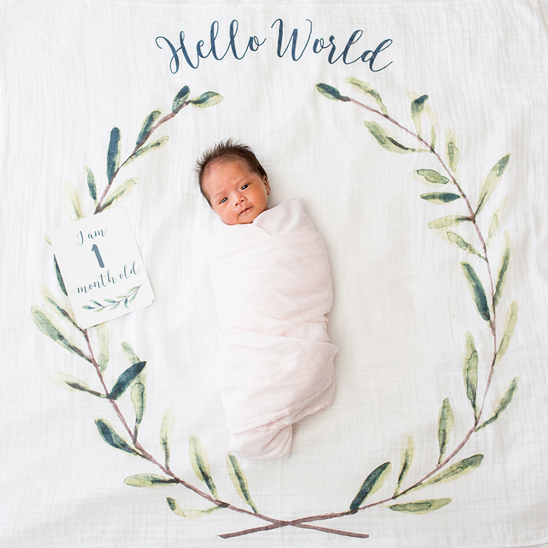 Mουσελίνα Φωτογράφισης + Κάρτες- Hello World