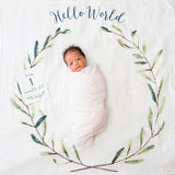 Mουσελίνα Φωτογράφισης + Κάρτες- Hello World