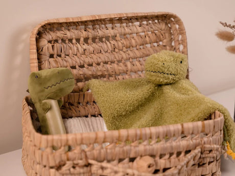 Baby Gift Box Dino friends