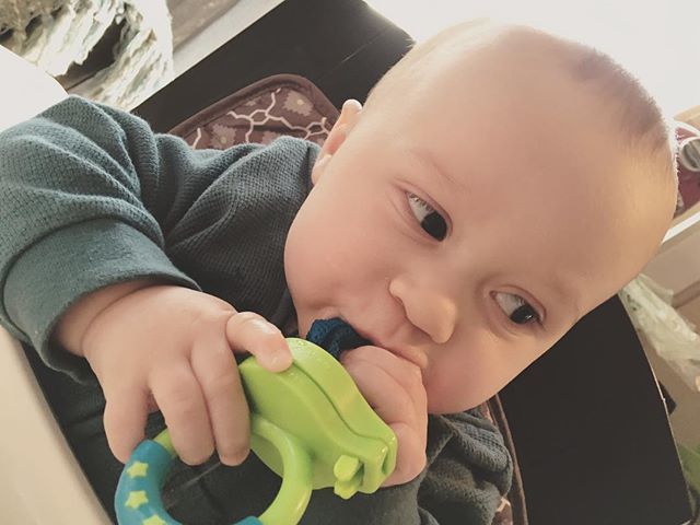 Fresh Food Feeder - Διχτάκι φαγητού