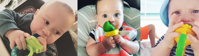 Fresh Food Feeder - Διχτάκι φαγητού