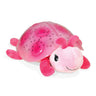 Cloud B - Twilight Turtle®